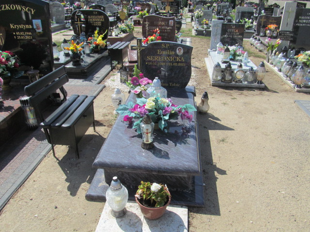 Grób Emilia Serednicka